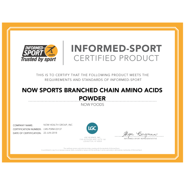 Now BRANCH CHAIN AMINO POWDER   12 OZ