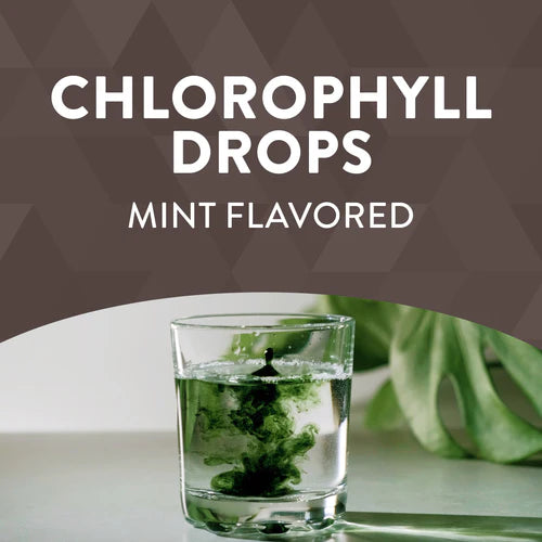 Nature's Way Chlorofresh® Chlorophyll Drops (Mint) 2 Fl Oz.