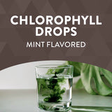 Nature's Way Chlorofresh® Chlorophyll Drops (Mint) 2 Fl Oz.