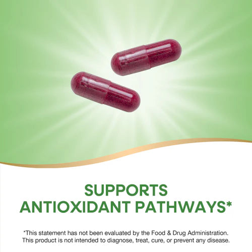 Nature's Way Beet Root  320 Vgn Cp