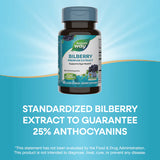 Nature's Way Bilberry Premium Extract, 25% Anthocyanins 60 Vgn Cp