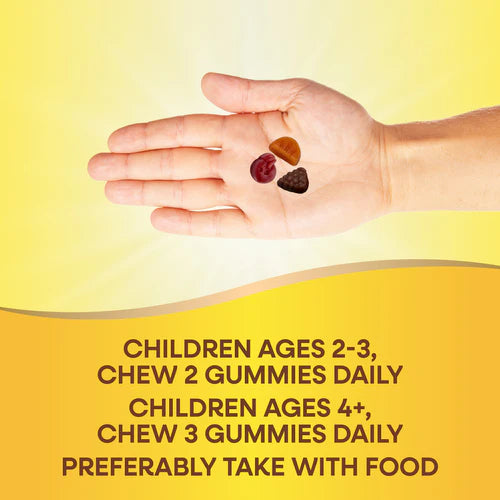 Nature's Way Alive!® Children’s Multi Gummies 90 Gummies