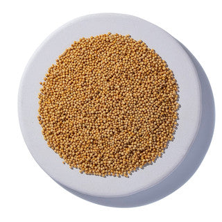 MUSTARD SEED YELLOW ORGANIC