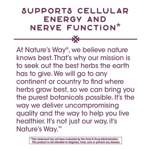 Nature's Way B-Stress Formula, Premium Blend 100 Vgn Cp